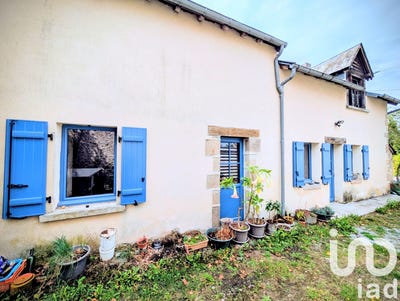 /international/fr/anzeme-limousin-310103088091/