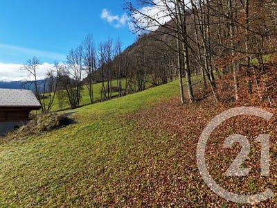 /international/fr/montriond-rhone-310103821558/