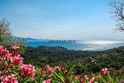 /international/fr/bormes-les-mimosas-provence-alpes-cote-d-azur-310100439691/