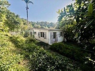 /international/fr/la-montagne-languedoc-roussillon-310103686313/
