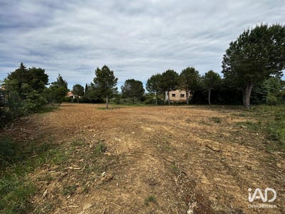 /international/fr/montesquieu-des-alberes-languedoc-roussillon-310107578423/