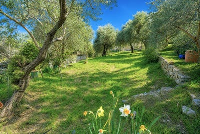 /international/fr/speracedes-provence-alpes-cote-d-azur-310106998705/