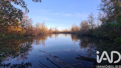 /international/fr/espalais-midi-pyrenees-310105263769/