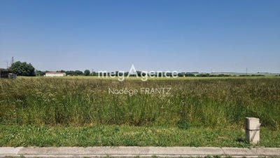 /international/fr/landes-charente-310105348218/
