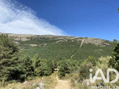 /international/fr/saint-vallier-de-thiey-provence-alpes-cote-d-azur-310104005473/