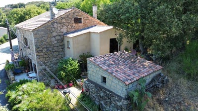 /international/fr/bilia-corsica-310100458320/