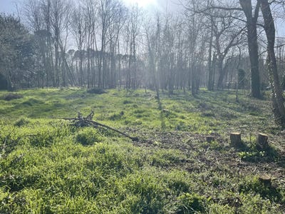 /international/fr/saint-selve-aquitaine-310106189371/