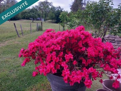 /international/fr/lure-franche-comte-310108136289/