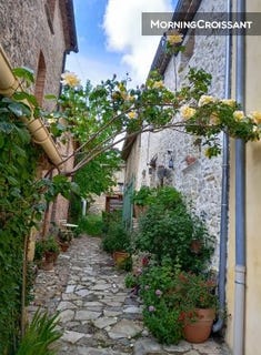 /international/fr/le-luc-provence-alpes-cote-d-azur-310110225882/