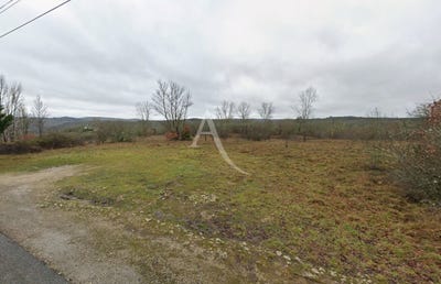 /international/fr/catus-midi-pyrenees-310108725863/