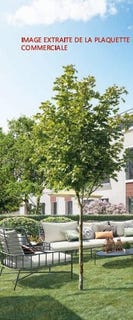 /international/fr/sarcelles-ile-de-france-310106799239/