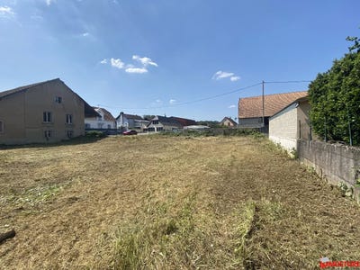 /international/fr/bartenheim-alsace-310100141701/