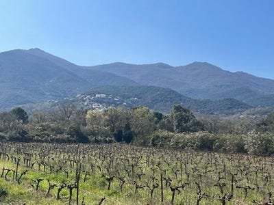 /international/fr/saint-genis-des-fontaines-languedoc-roussillon-310105833331/