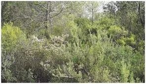/international/fr/clarensac-languedoc-roussillon-310101018843/?lang=zh-tw