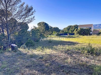 /international/fr/alleins-provence-alpes-cote-d-azur-310103589276/