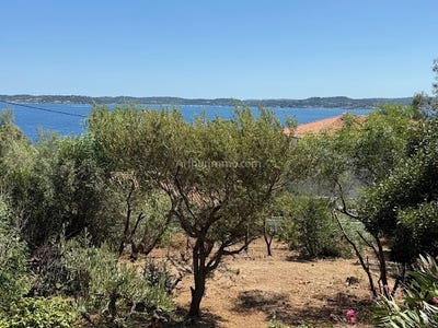 /international/fr/sainte-maxime-provence-alpes-cote-d-azur-310100935850/?lang=zh-tw