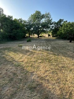 /international/fr/beaumont-saint-cyr-charente-310101380515/