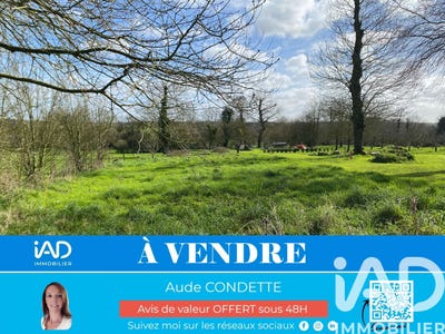 /international/fr/jugon-les-lacs-brittany-310106388133/