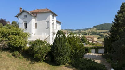 /international/fr/vindry-sur-turdine-rhone-310102413792/