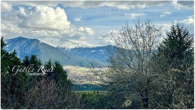 /international/fr/bolquere-languedoc-roussillon-310107414627/