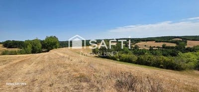 /international/fr/monclar-de-quercy-midi-pyrenees-310109799244/