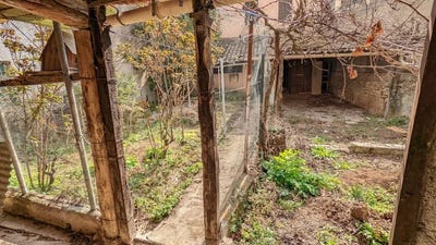 /international/fr/carces-provence-alpes-cote-d-azur-310100734904/