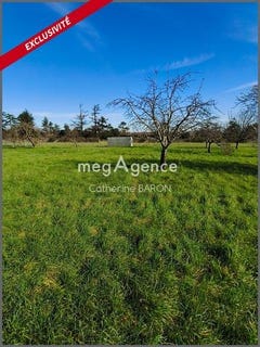 /international/fr/cognac-charente-310105946281/