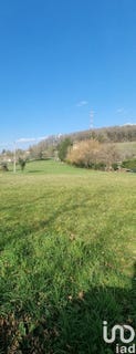 /international/fr/terrasson-lavilledieu-aquitaine-310097947350/