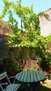 /international/fr/trausse-languedoc-roussillon-310098664289/