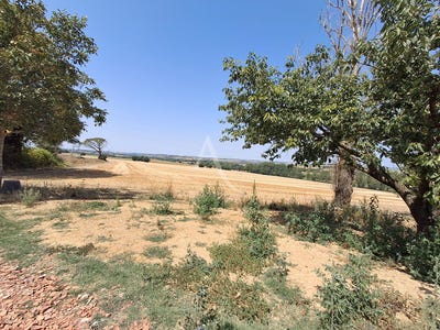/international/fr/l-isle-jourdain-charente-310104462394/