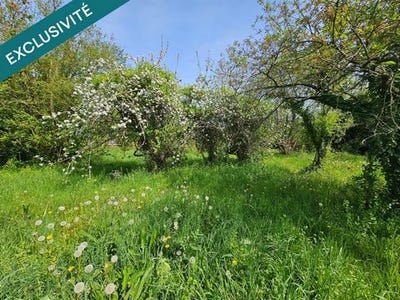 /international/fr/chasseneuil-centre-val-de-loire-310107298565/