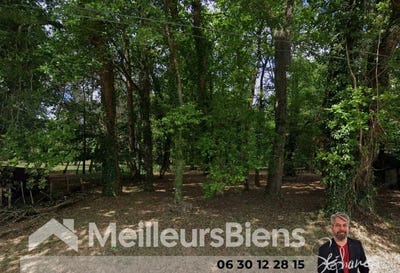 /international/fr/soumeras-charente-310100283179/