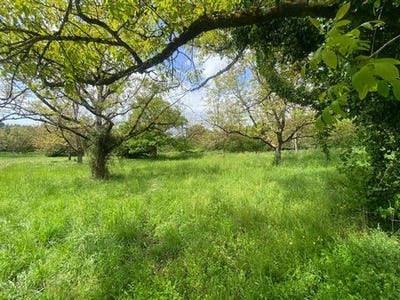 /international/fr/capdenac-midi-pyrenees-310107707085/
