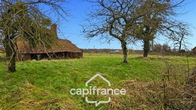 /international/fr/st-martin-en-bresse-burgundy-120096738809/
