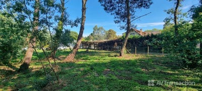 /international/fr/soustons-aquitaine-310102537997/