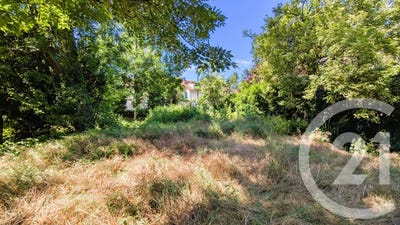 /international/fr/champigny-sur-marne-ile-de-france-120094250377/