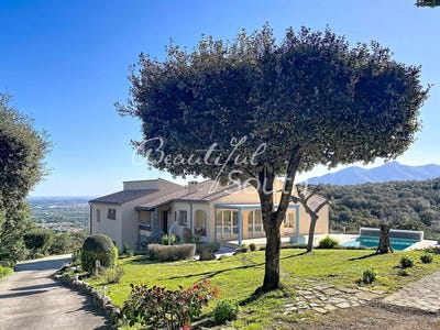 /international/fr/ceret-languedoc-roussillon-310107651171/