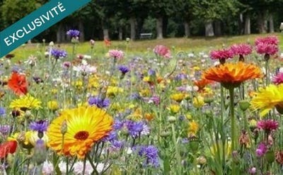 /international/fr/saint-morillon-aquitaine-310108247003/