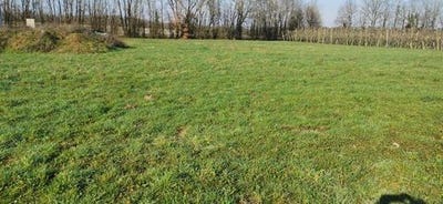 /international/fr/le-douhet-charente-310105746904/