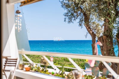 /international/fr/villeneuve-loubet-provence-alpes-cote-d-azur-310100876138/
