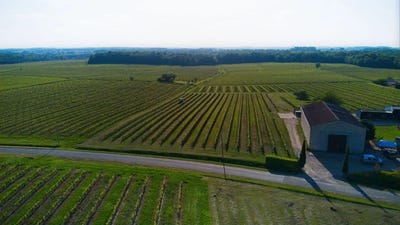 /international/fr/sauveterre-de-guyenne-aquitaine-310099812321/?lang=zh-cn