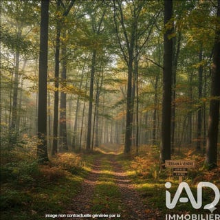 /international/fr/escles-saint-pierre-picardie-310105537584/