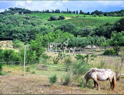 /international/fr/alairac-languedoc-roussillon-310100649941/?lang=id