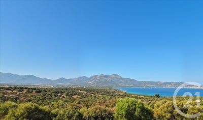 /international/fr/lumio-corsica-310110161881/