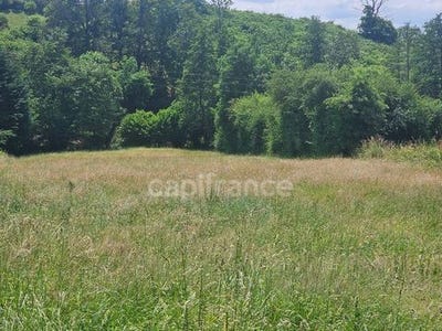 /international/fr/panissieres-rhone-310100281479/