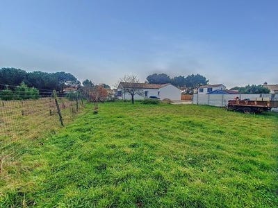 /international/fr/saint-hilaire-de-riez-pays-de-la-loire-310101653045/
