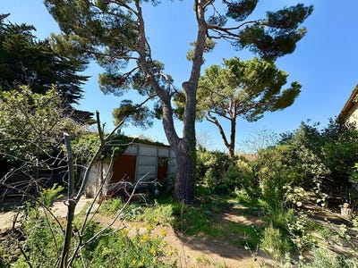 /international/fr/sete-languedoc-roussillon-310108101947/