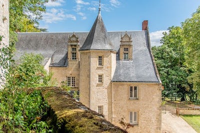 /international/fr/langeais-centre-val-de-loire-310108213289/