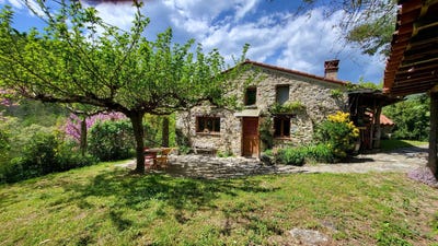 /international/fr/saint-laurent-de-cerdans-languedoc-roussillon-310106244209/