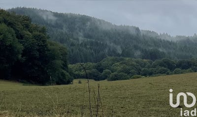 /international/fr/eymoutiers-limousin-310102244226/